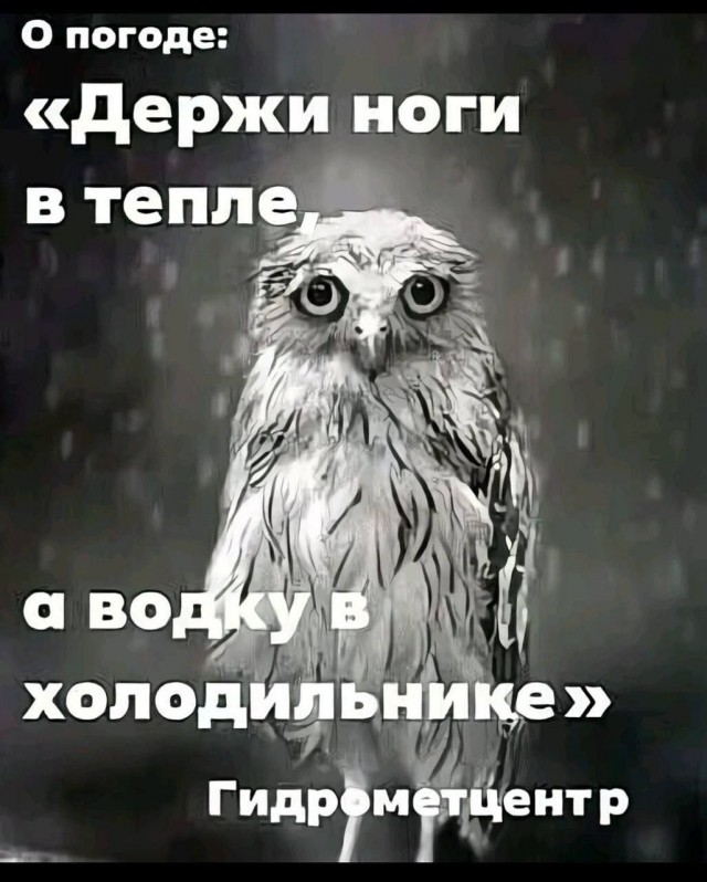 Понедельника картинки