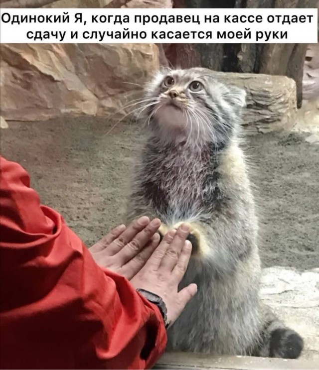 Картинки выходного дня