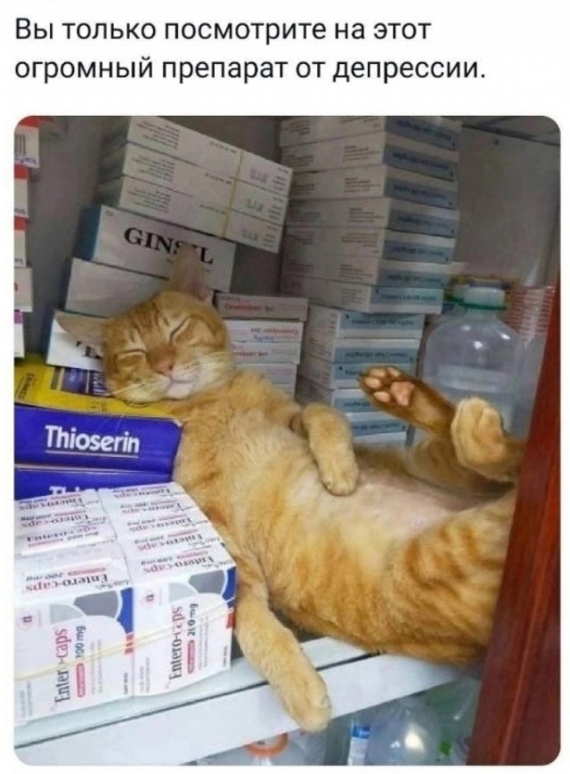 Четверговые картинки