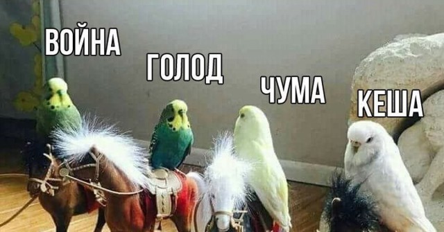Понедельника картинки