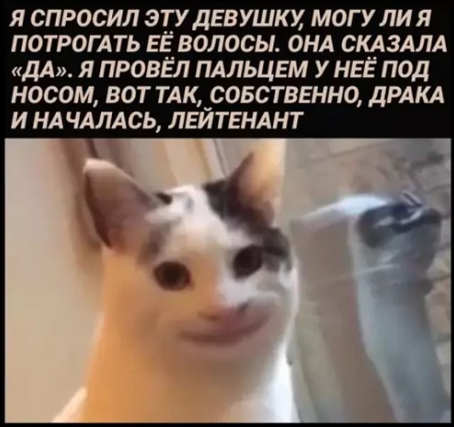Картиночки, баянчики 21 апреля