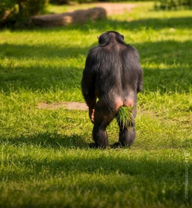 Юма делает моду