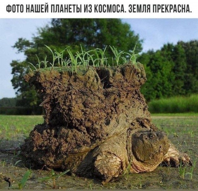 Картинки для деградации 203  (разной степени свежести)
