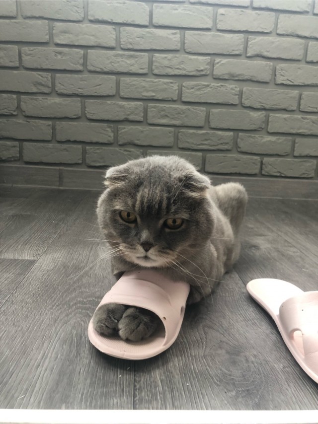 Фторняк?