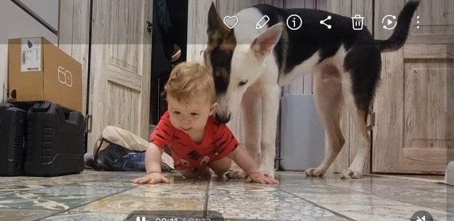 К собакочетвергу