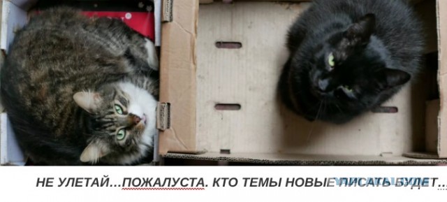 Джентельмены, даме нужна помощь