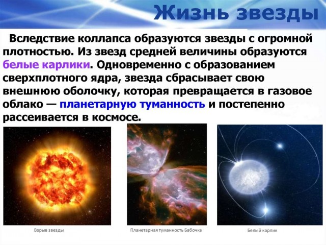 Голая правда: как человечество придумало стыд там, где его не было
