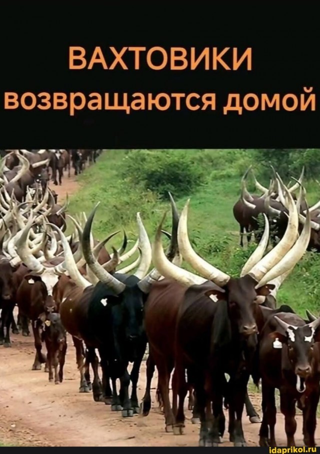 Какой нехороший муж⁠