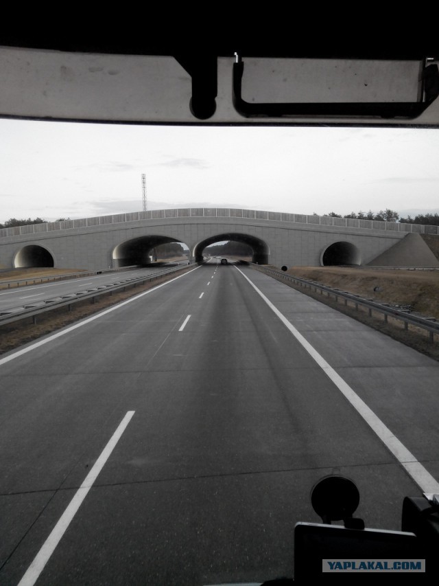 История одного рейса