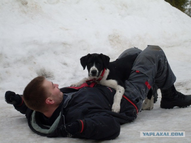 В память о друге.