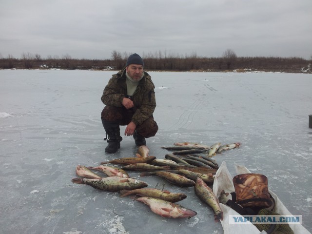 На рыбалку за семгой.