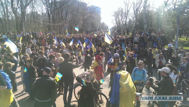 И снова сербы, в поддержку России.