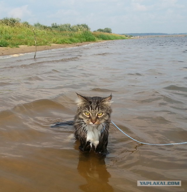 ДУШераздирающее зрелище