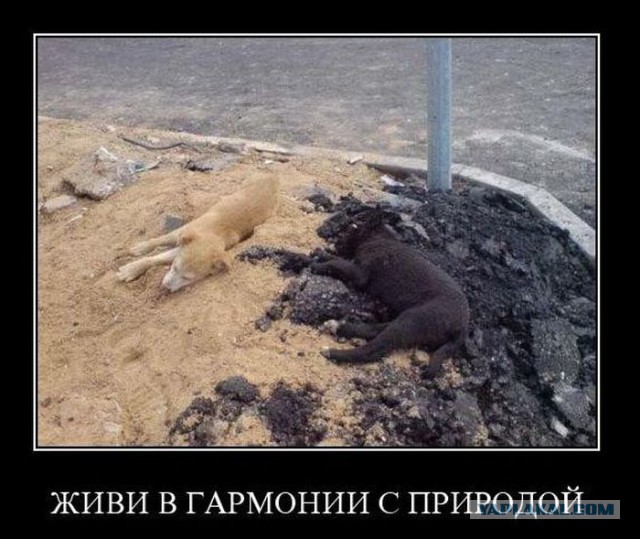 Подборка смешных картинок :)