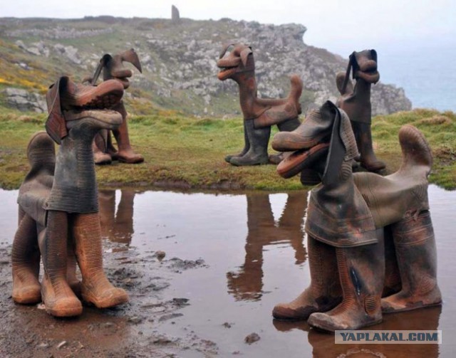 Бандит и Шива