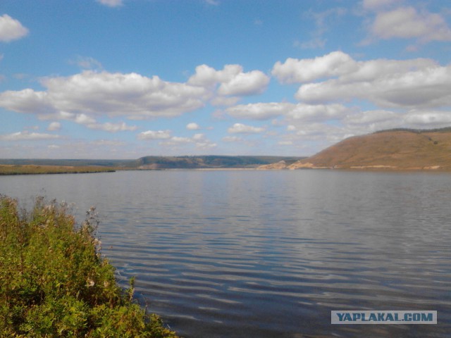 Последнее фото с Вашего телефона.