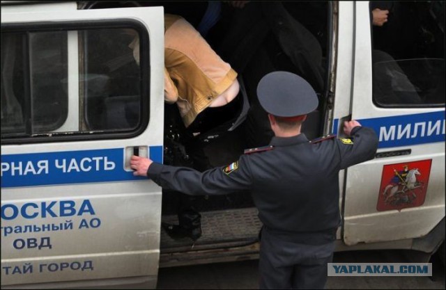 Веселые картинки