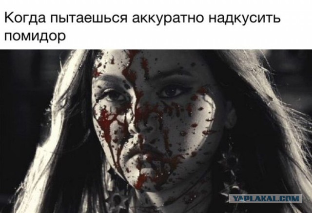 Немного юмора