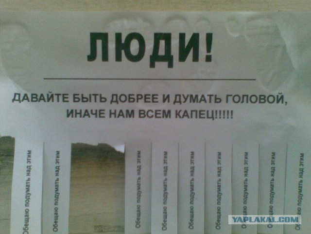 Как устроены игровые автоматы «Хватайка», и почему