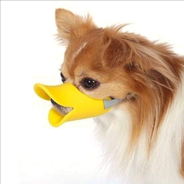 Собака у соседей из соседнего подъезда лает!