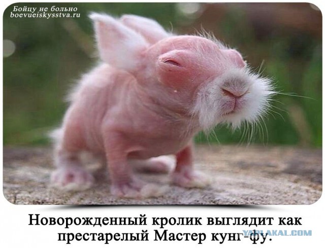 Очередная подборка картинок из интернета