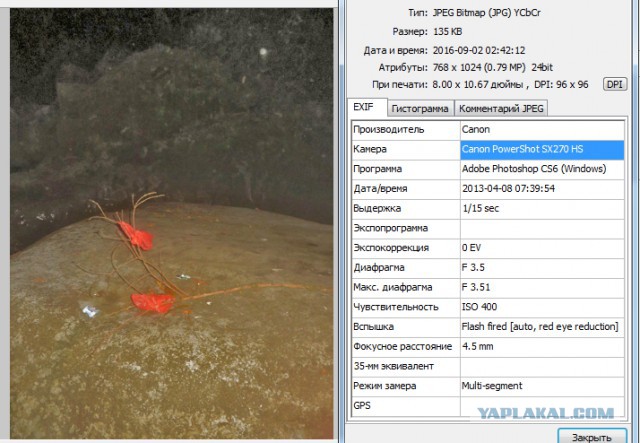 Исчезновение и трагическая гибель Лисанн Фрон и Крис Кремерс