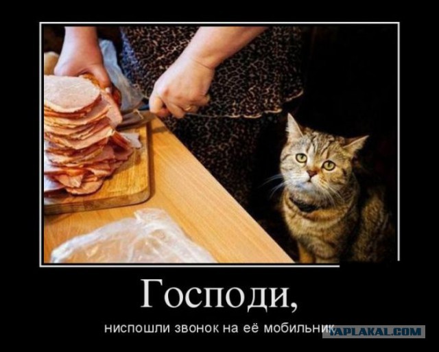 Без обид, это просто вопрос...