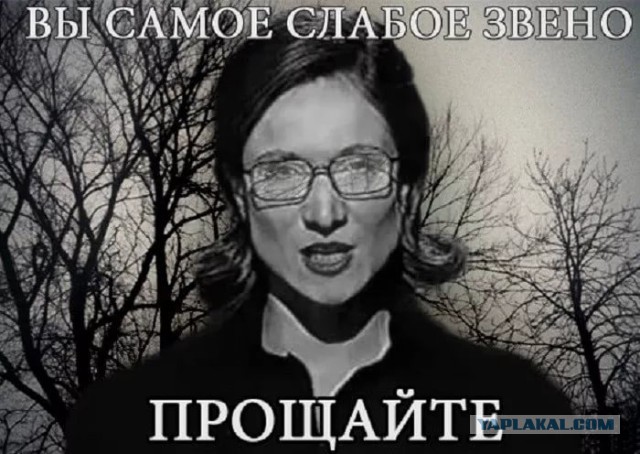 Война без правил. Как защитники животных мстят живодерам