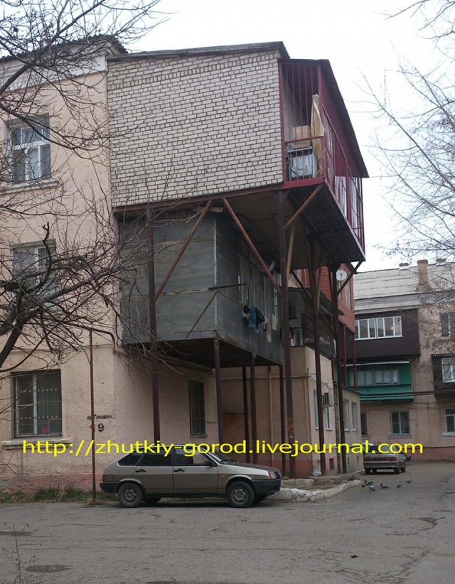 Лента прикольных картинок