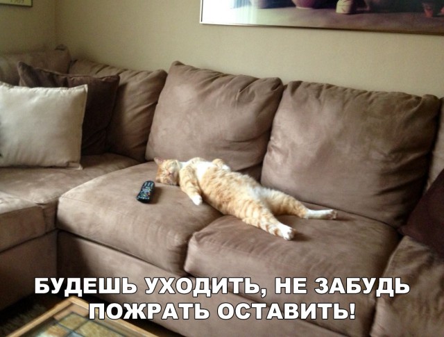 Нестандартный юмор