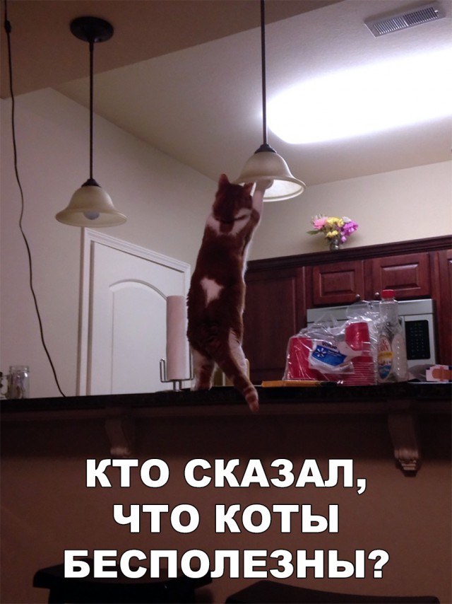 Немного милоты