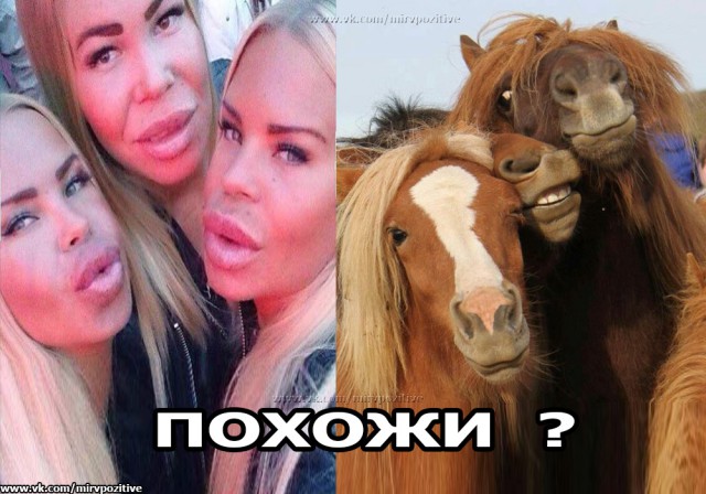 Не очень адекватный юмор