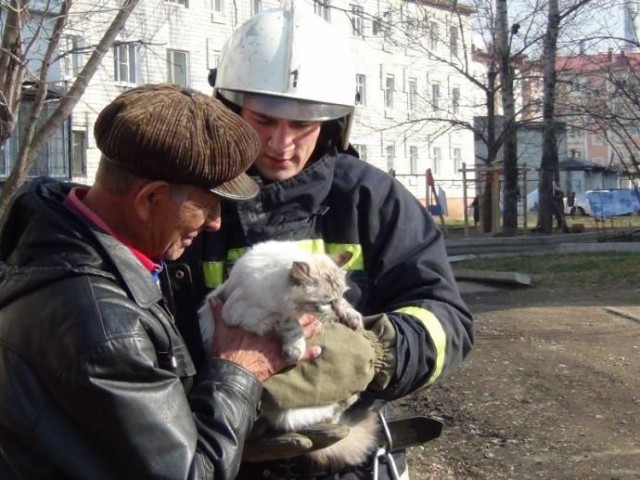 Спасение "альпинистки"