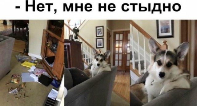 Немного картинок для настроения