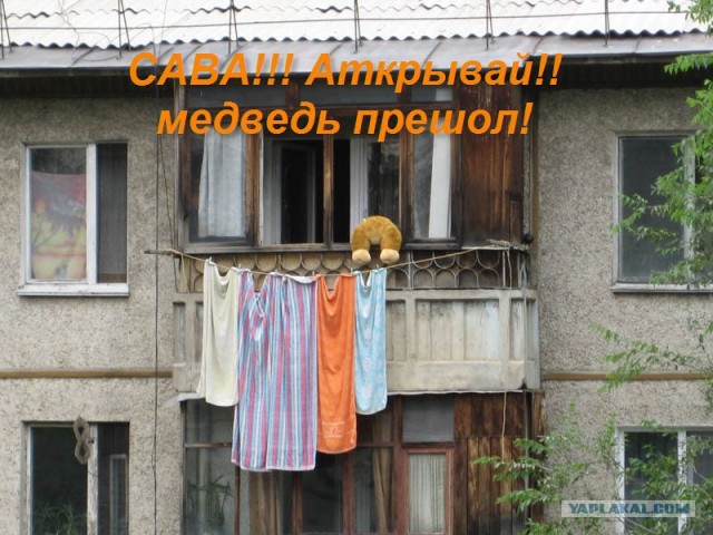 Конкурс: подпись к картинке