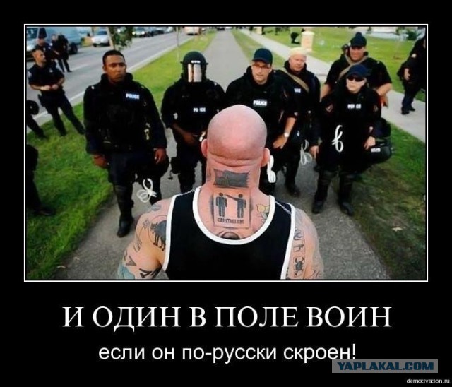 Питерский скрипач (либеральный активист-русофоб) задержан по подозрению в педофилии