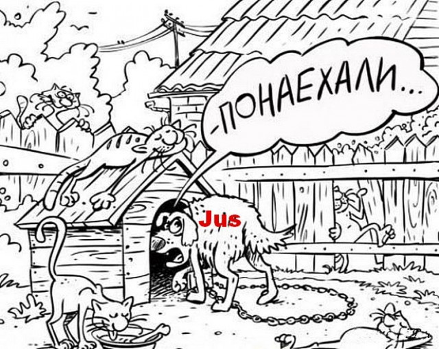ЯПокатуры от tubdoc62