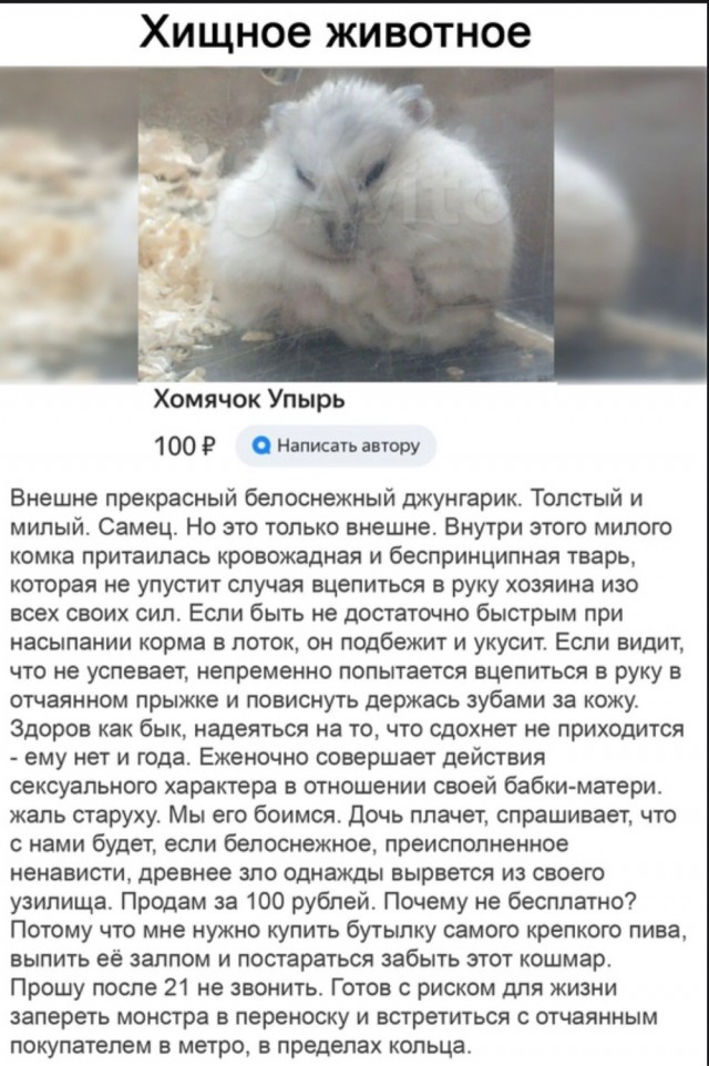 Вечерний выпуск