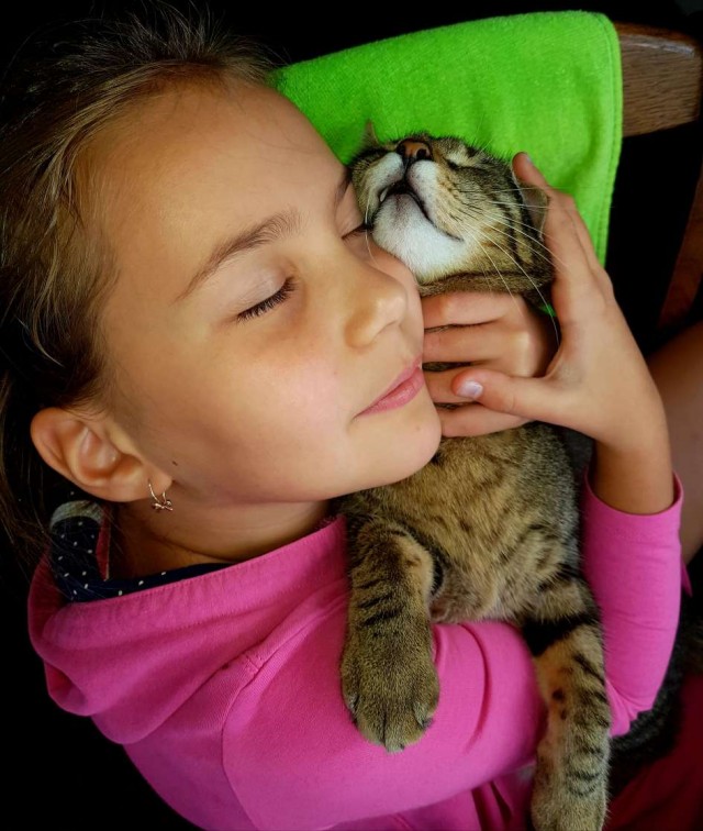 Котовторнику быть!