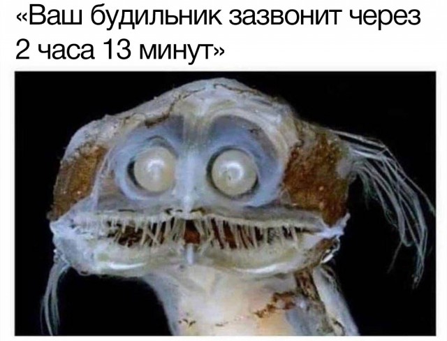 Весёлый полтишок 1.03