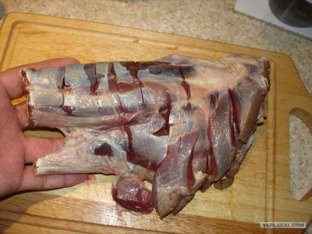 Косуля сибирская (от нее часть).... и гарнир!