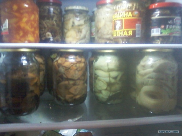 Осень в банках