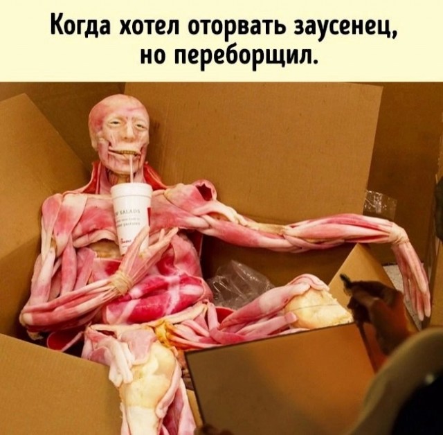 Весёлый полтишок 18.02