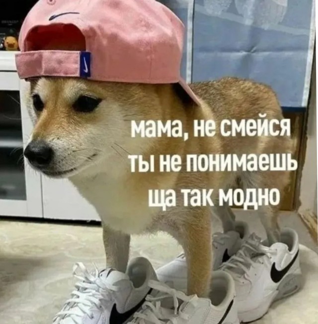 Юмор. Мемы