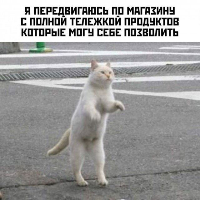 Картинки и мемы, всем отличных выходных