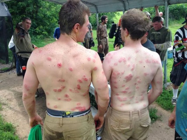 Пейнтбол 80 lvl
