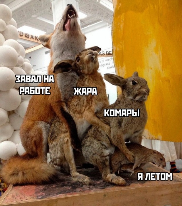 Картинки и мемы для настроения - 29