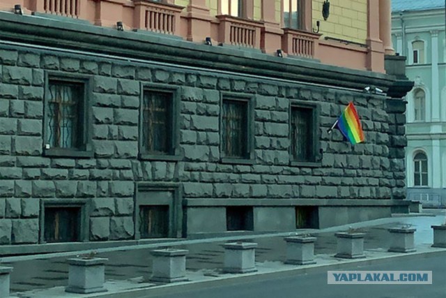 В Госдуме призвали запретить радужный ЛГБТ-флаг на территории России