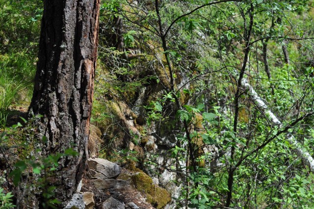 Поездка в Екатеринбург