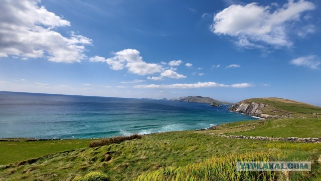 Поделимся красивыми фото с телефона?